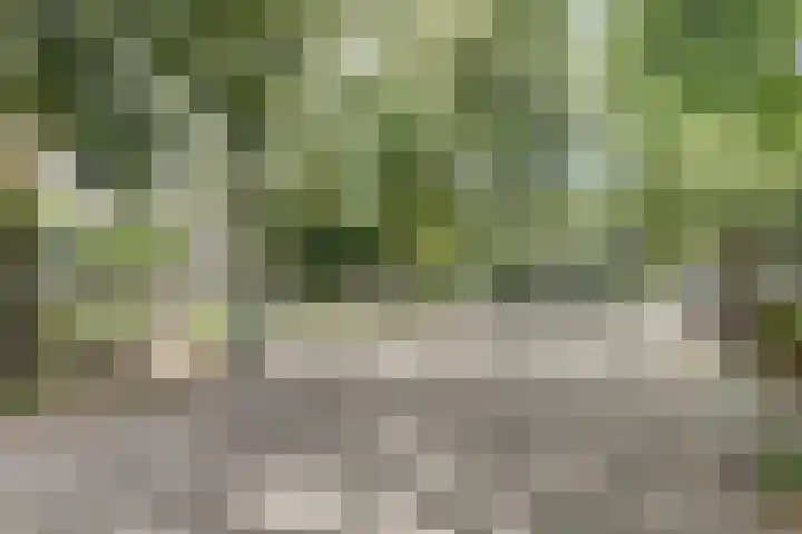 Vlietstraat 15 Utrecht thumbnail 18