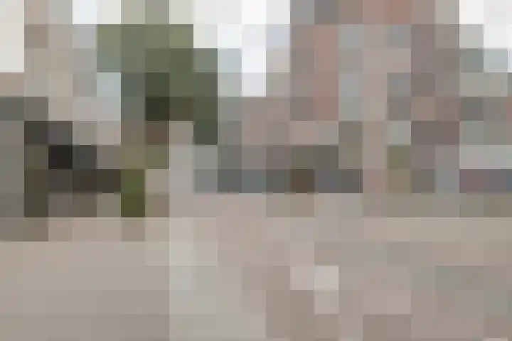 Vlietstraat 15 Utrecht thumbnail 21