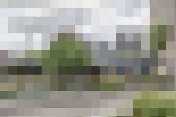 Vlietstraat 15 Utrecht thumbnail 23