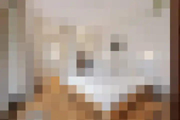 Vlietstraat 16 Utrecht thumbnail 29