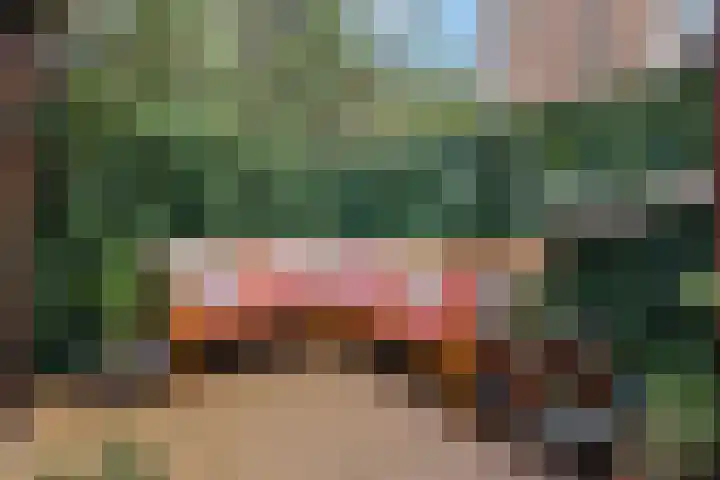Vlietstraat 16 Utrecht thumbnail 34