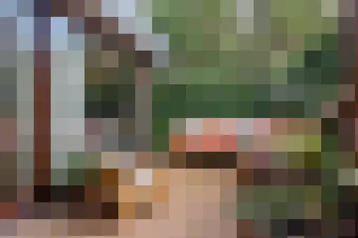 Vlietstraat 16 Utrecht thumbnail 5
