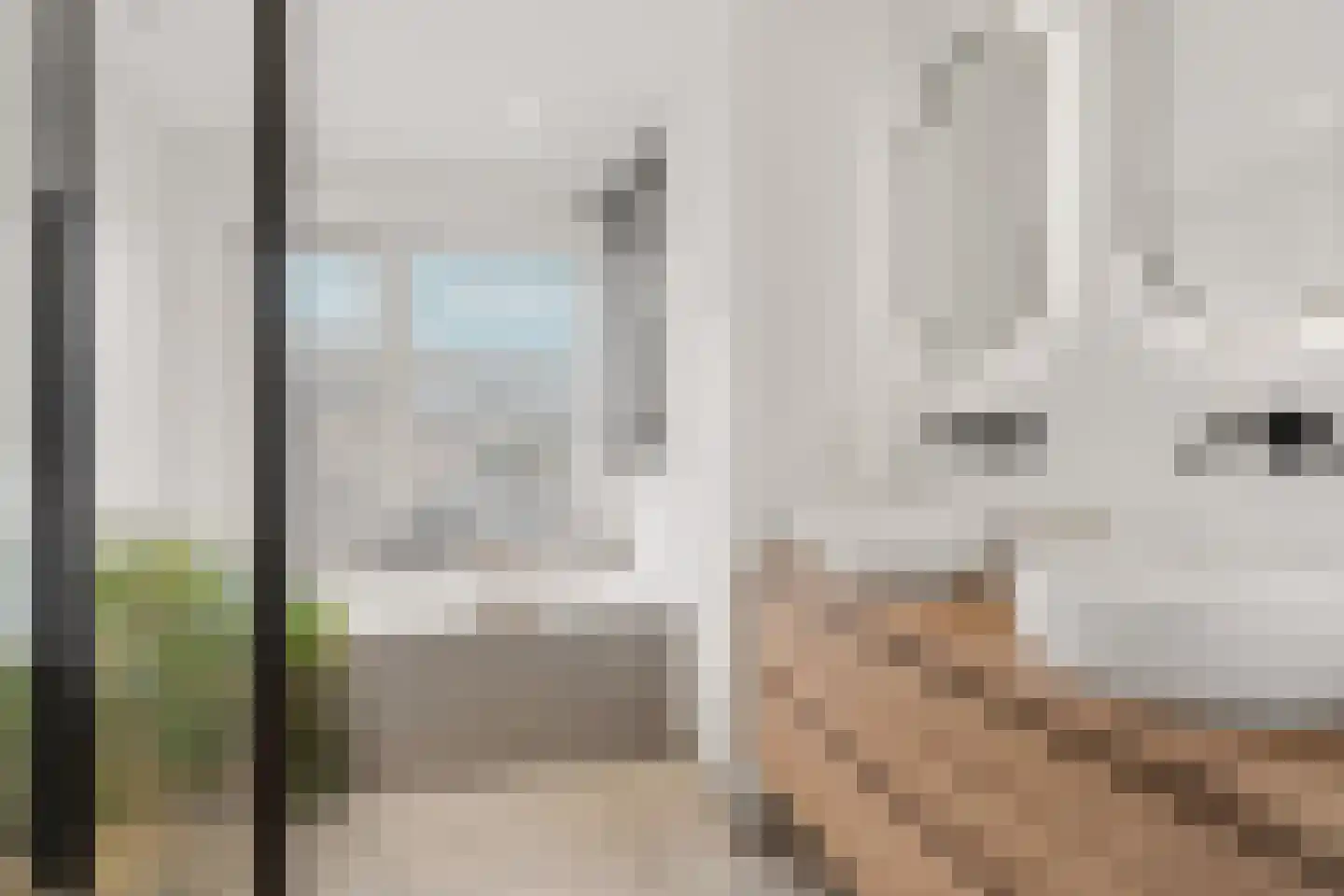 Vlietstraat 19 Nijmegen thumbnail 18