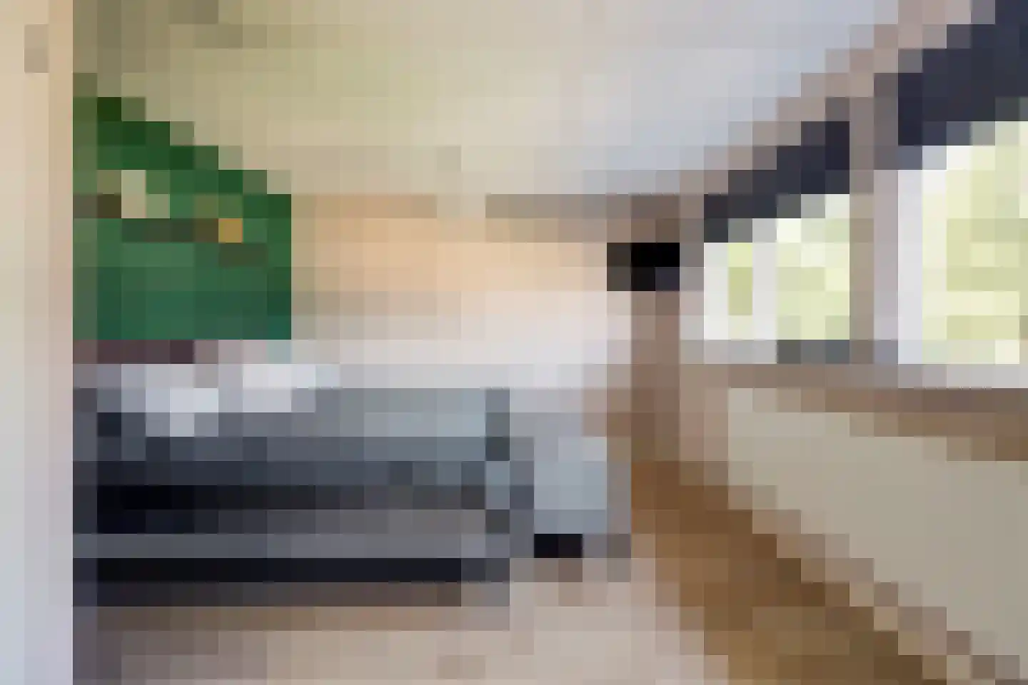 Vlietstraat 2 's-Gravendeel thumbnail 10