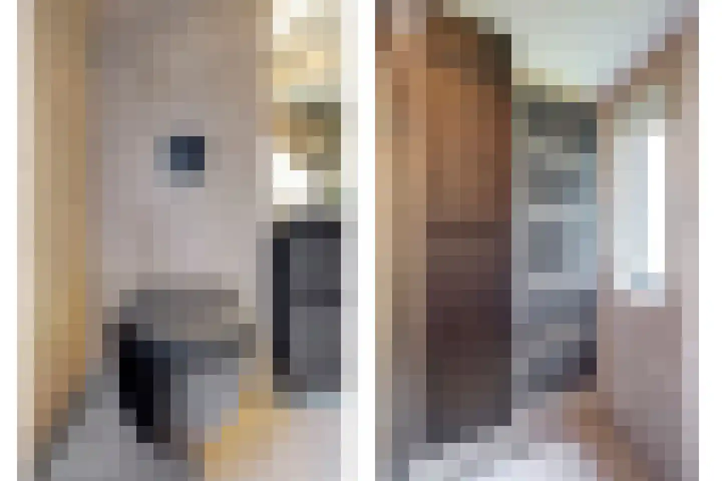 Vlietstraat 2 's-Gravendeel thumbnail 13