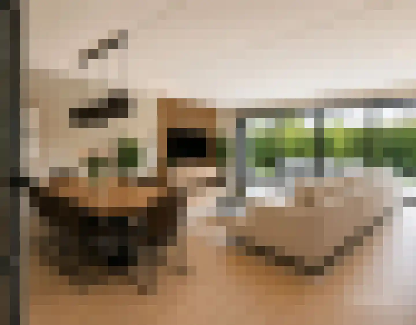 Vlietstraat 2 's-Gravendeel thumbnail 24