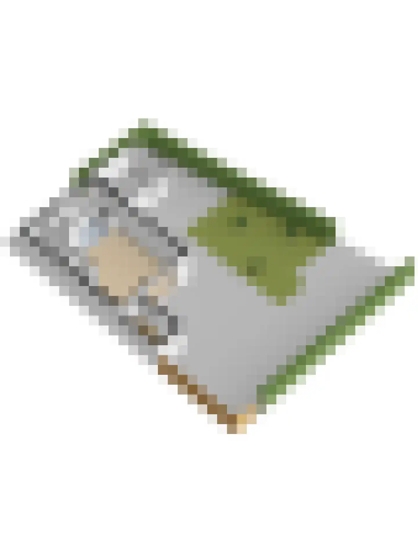 Vlietstraat 2 's-Gravendeel thumbnail 34