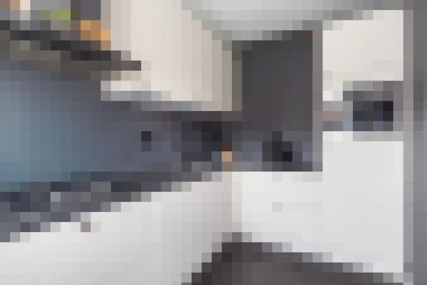 Vlietstraat 20 Nieuwpoort thumbnail 9