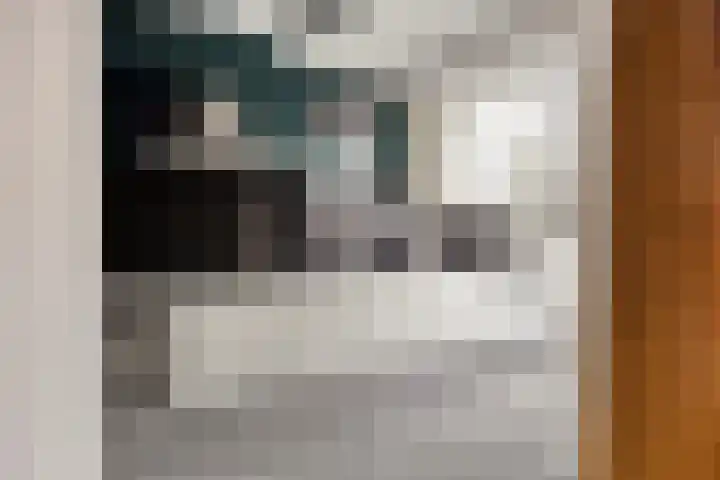 Vlietstraat 21 Schelluinen thumbnail 10