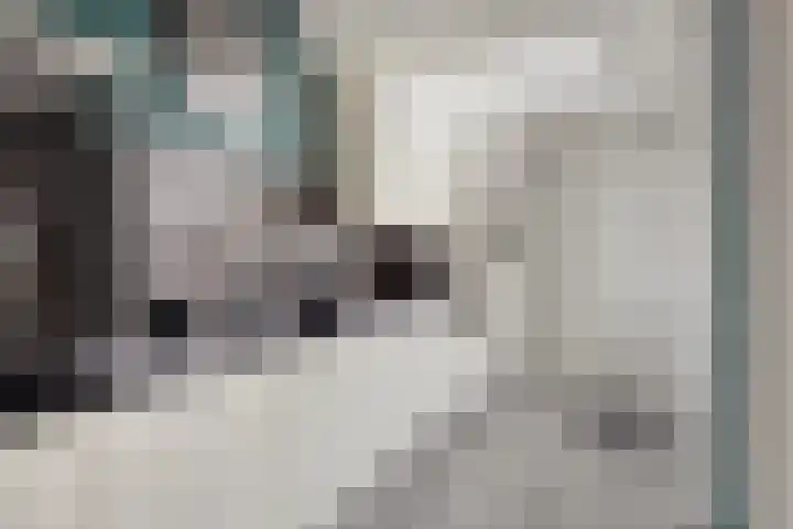 Vlietstraat 21 Schelluinen thumbnail 11