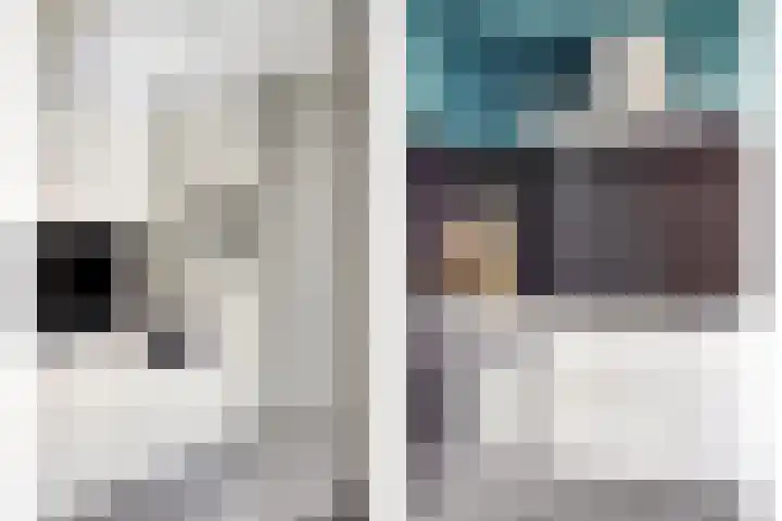 Vlietstraat 21 Schelluinen thumbnail 12