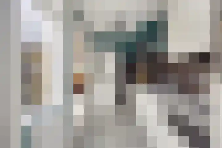 Vlietstraat 21 Schelluinen thumbnail 13