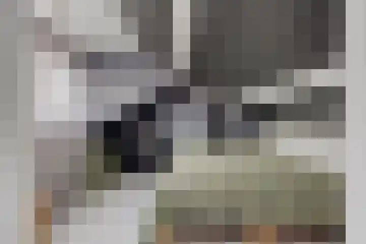 Vlietstraat 21 Schelluinen thumbnail 20