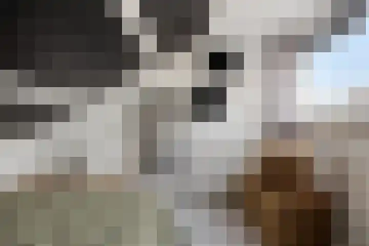 Vlietstraat 21 Schelluinen thumbnail 21