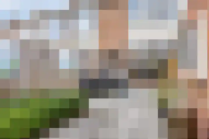 Vlietstraat 21 Schelluinen thumbnail 23