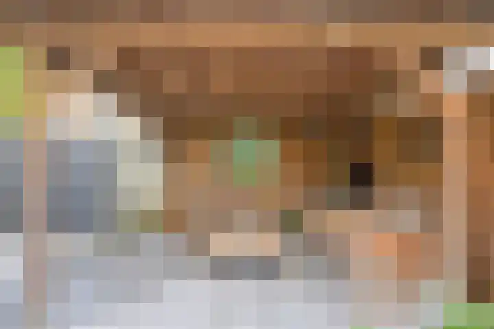 Vlietstraat 21 Schelluinen thumbnail 24