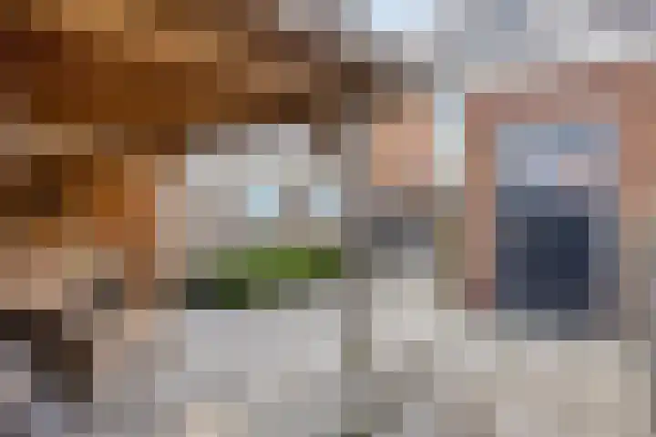 Vlietstraat 21 Schelluinen thumbnail 25