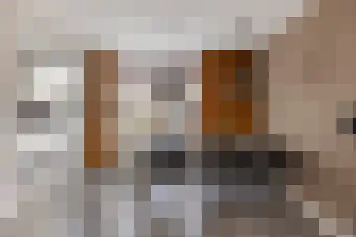 Vlietstraat 21 Schelluinen thumbnail 9