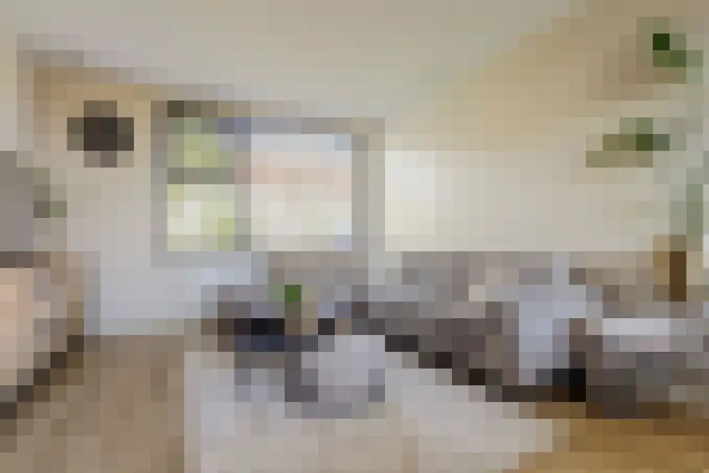Vlietstraat 25 Hoogblokland thumbnail 5