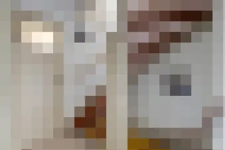 Vlietstraat 26 's-Gravendeel thumbnail 18