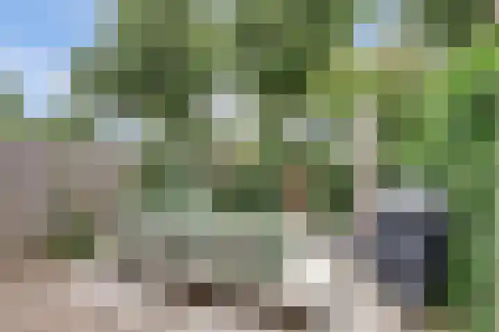 Vlietstraat 26 's-Gravendeel thumbnail 28