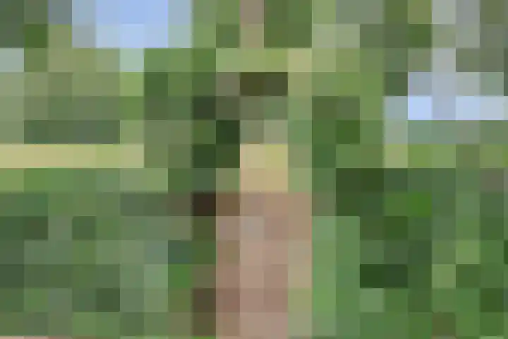 Vlietstraat 26 's-Gravendeel thumbnail 31