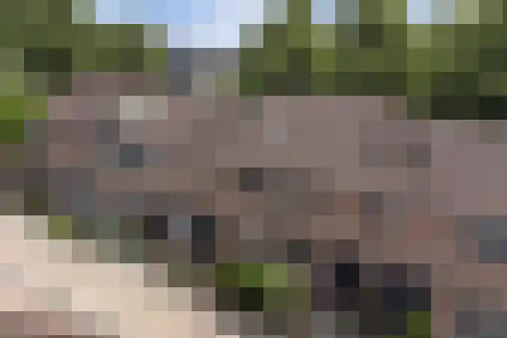 Vlietstraat 26 's-Gravendeel thumbnail 32