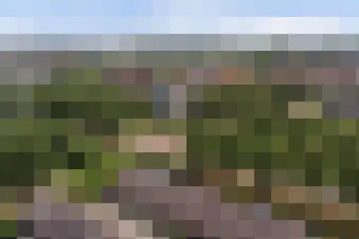 Vlietstraat 26 's-Gravendeel thumbnail 34