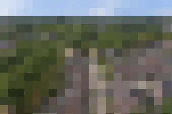 Vlietstraat 26 's-Gravendeel thumbnail 36