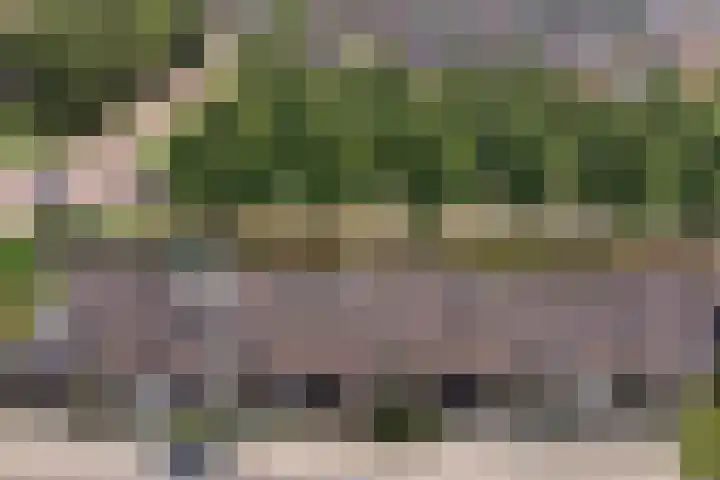 Vlietstraat 26 's-Gravendeel thumbnail 39