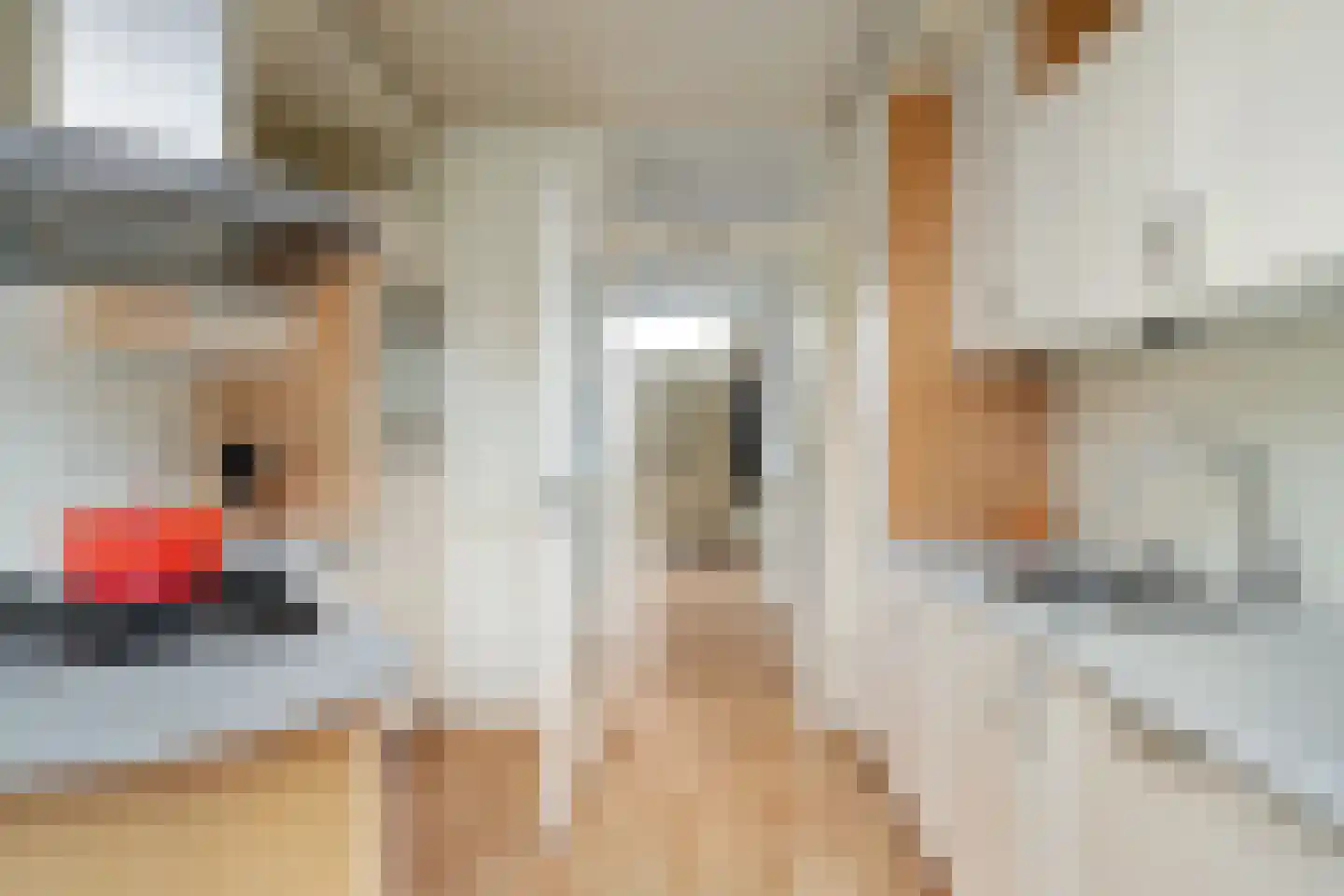 Vlietstraat 29 Klaaswaal thumbnail 20