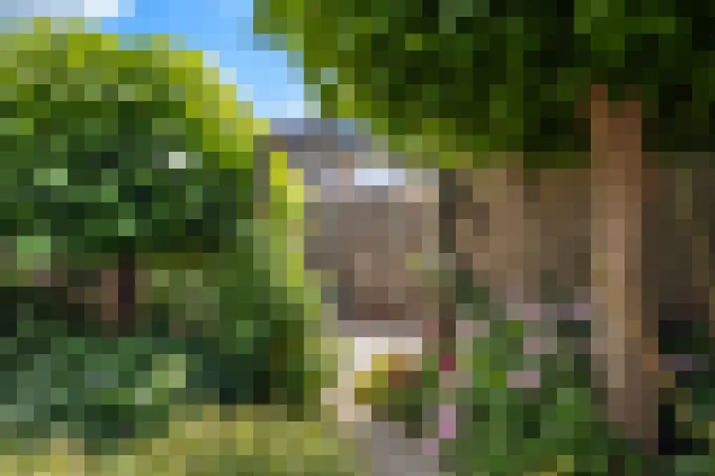 Vlietstraat 29 Klaaswaal thumbnail 9