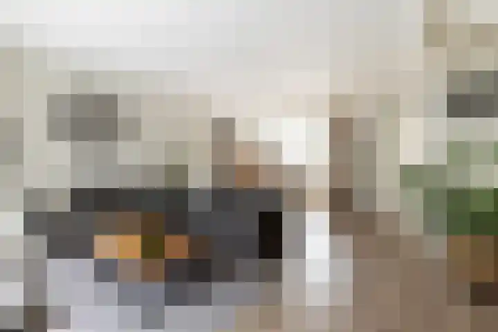 Vlietstraat 3 's-Gravendeel thumbnail 14