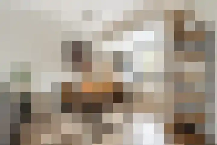Vlietstraat 3 's-Gravendeel thumbnail 15