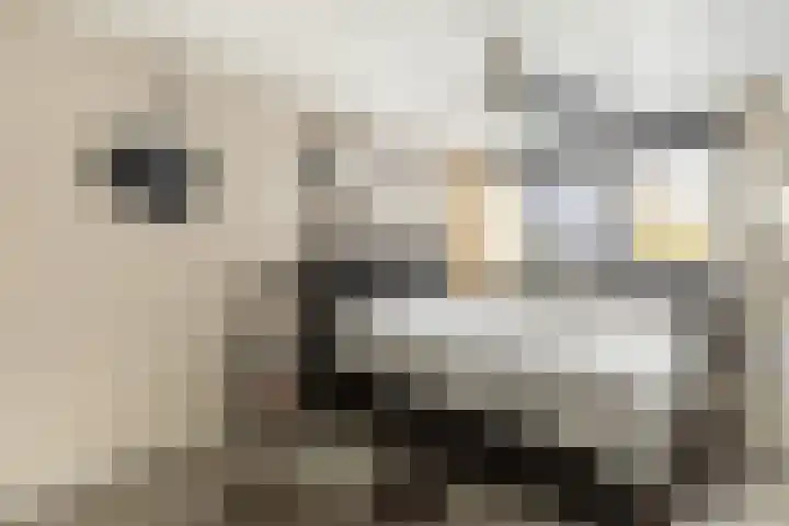 Vlietstraat 3 's-Gravendeel thumbnail 20
