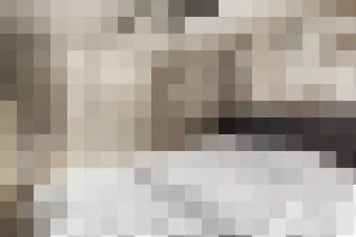 Vlietstraat 3 's-Gravendeel thumbnail 21