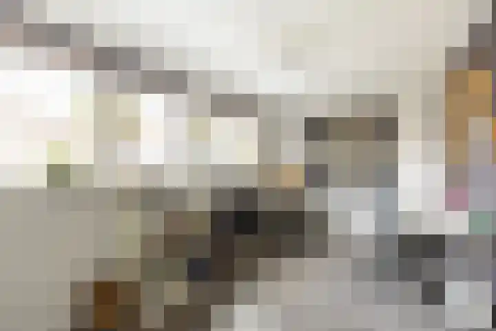 Vlietstraat 3 's-Gravendeel thumbnail 22