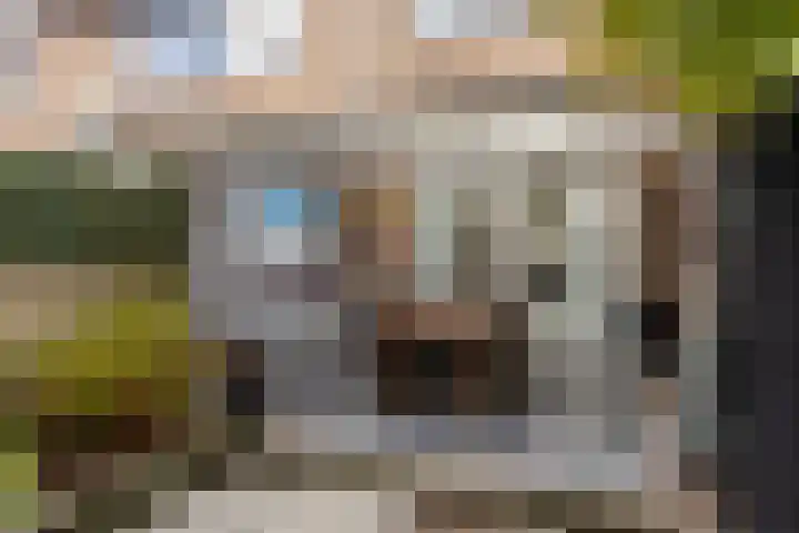 Vlietstraat 3 's-Gravendeel thumbnail 33