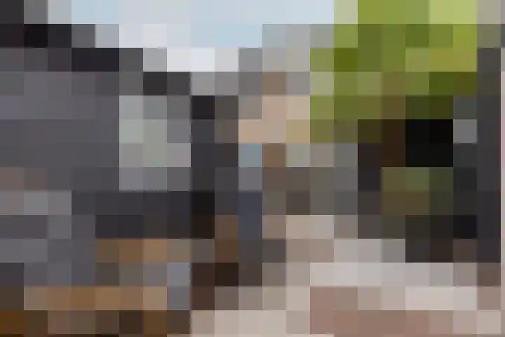 Vlietstraat 3 's-Gravendeel thumbnail 35
