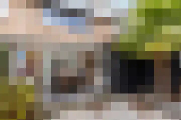 Vlietstraat 3 's-Gravendeel thumbnail 4