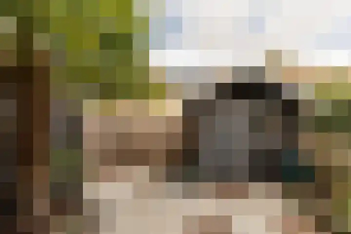 Vlietstraat 3 's-Gravendeel thumbnail 5
