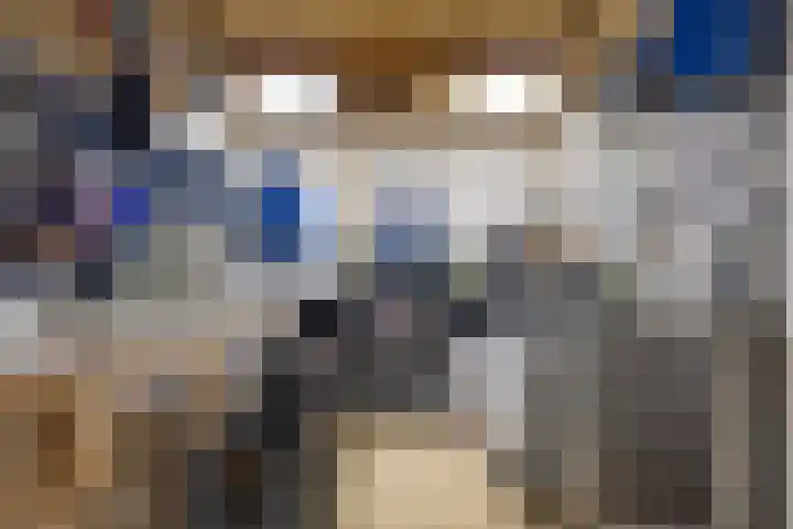 Vlietstraat 32 Schelluinen thumbnail 26