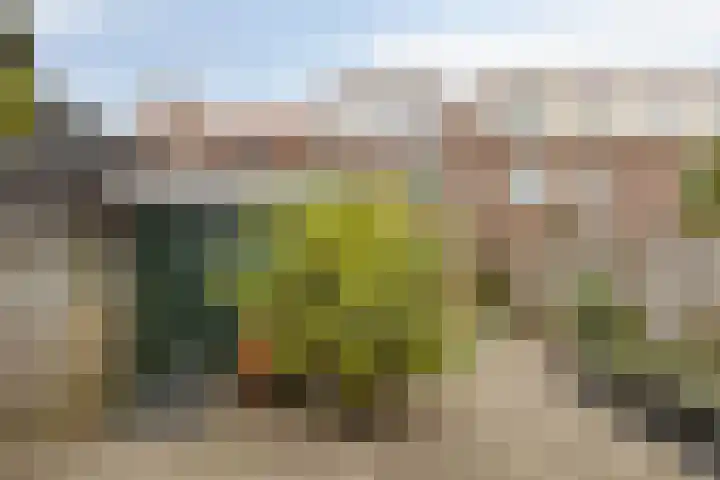 Vlietstraat 32 Schelluinen thumbnail 27