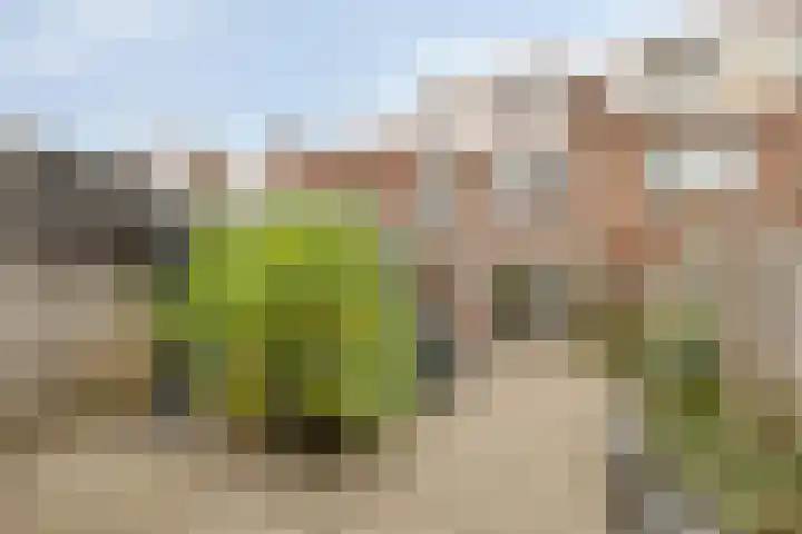 Vlietstraat 32 Schelluinen thumbnail 28