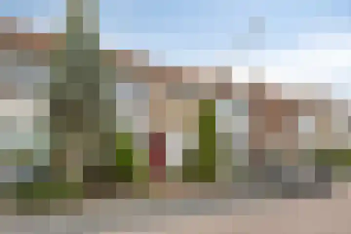 Vlietstraat 32 Schelluinen thumbnail 29