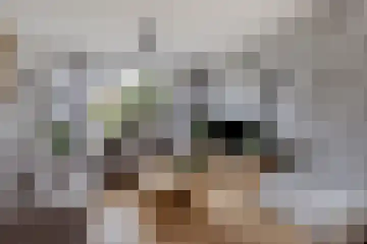 Vlietstraat 32 Schelluinen thumbnail 4