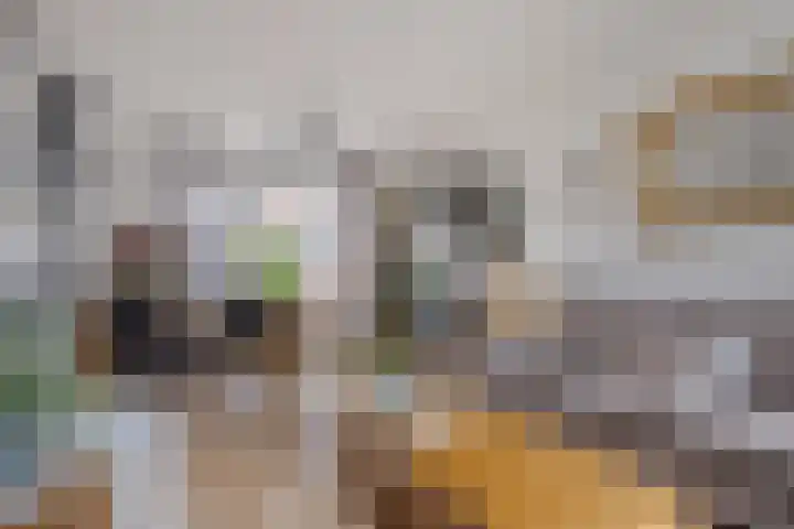Vlietstraat 32 Schelluinen thumbnail 6