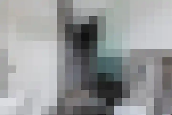 Vlietstraat 4 Schelluinen thumbnail 21