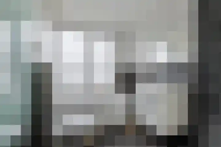 Vlietstraat 4 Schelluinen thumbnail 22