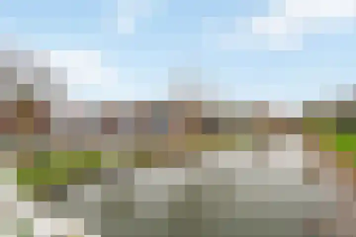 Vlietstraat 4 Schelluinen thumbnail 26